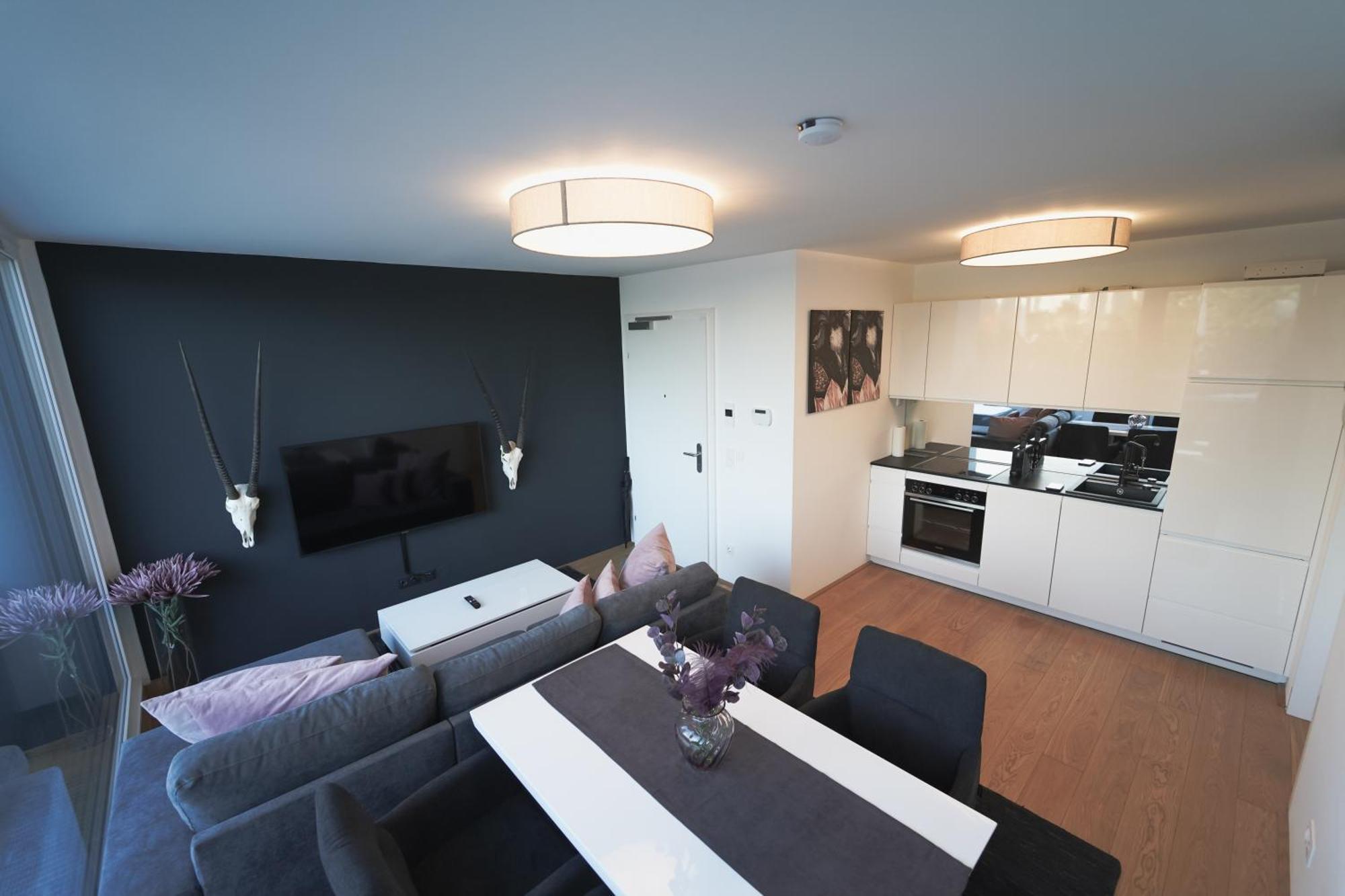 Modern Stylish Design Apartment With Free Parking Emily Vienna Esterno foto
